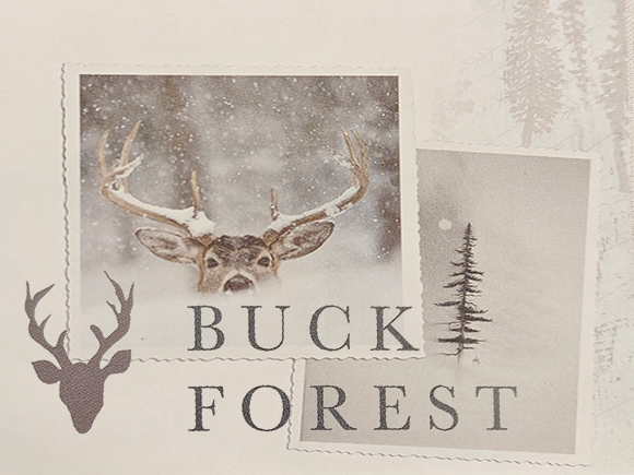 Buck Forest (Hello Bear)